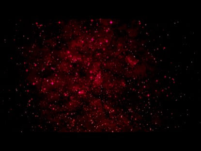 Silent Night 4