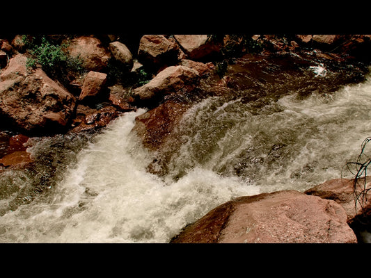 El Dorado Motion 4