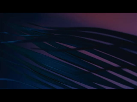 Cinematic Palms Loop 22