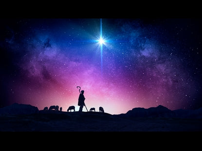 Christmas Night Nativity 7