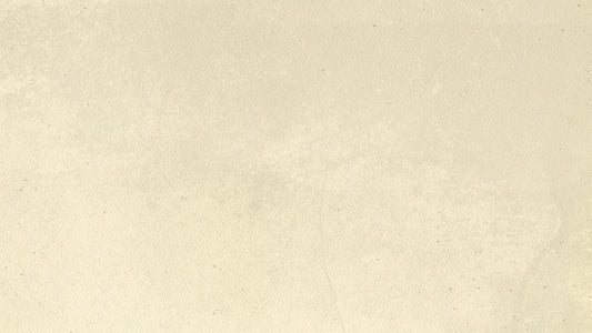 Vintage Fall White Still