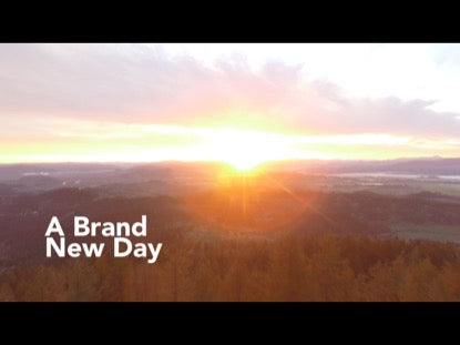 A Brand New Day