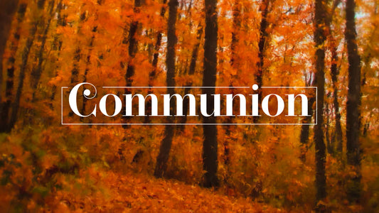 Autumn Vibes Communion