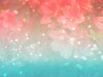 Pink And Blue Flowers