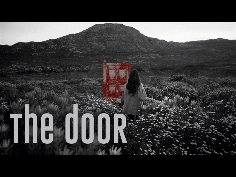The Door
