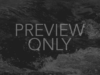 Black And White Water Slide