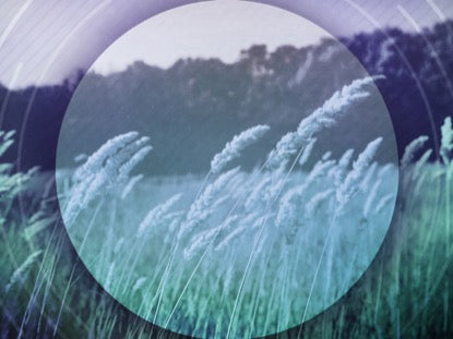 Barley Breeze 2 Motion