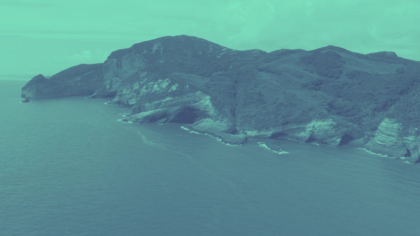 The Coast 5 Alt Still