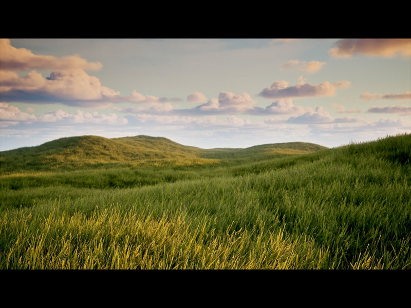 Prairie Grass Wind