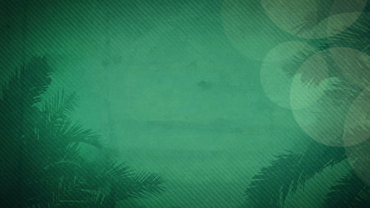 Palm Sunday 05 Still