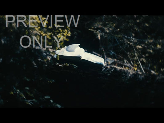 Bible And Crown 8 Still