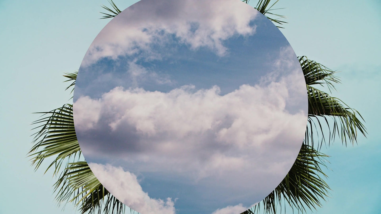 Spring Nature Still 18