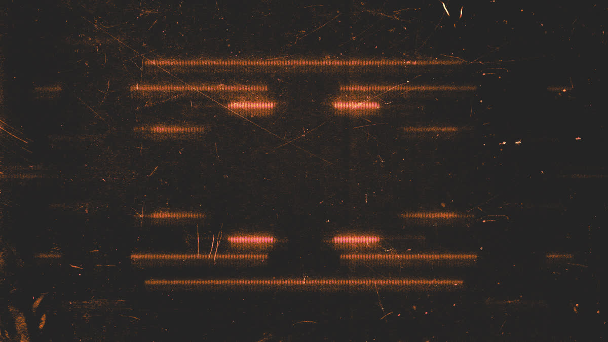 Digital Dust 7