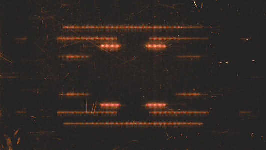 Digital Dust 7