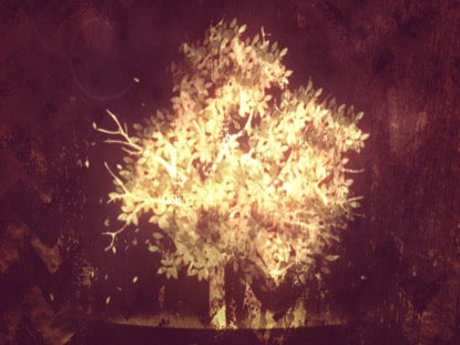 Thanksgiving Gratitude 6 Motion