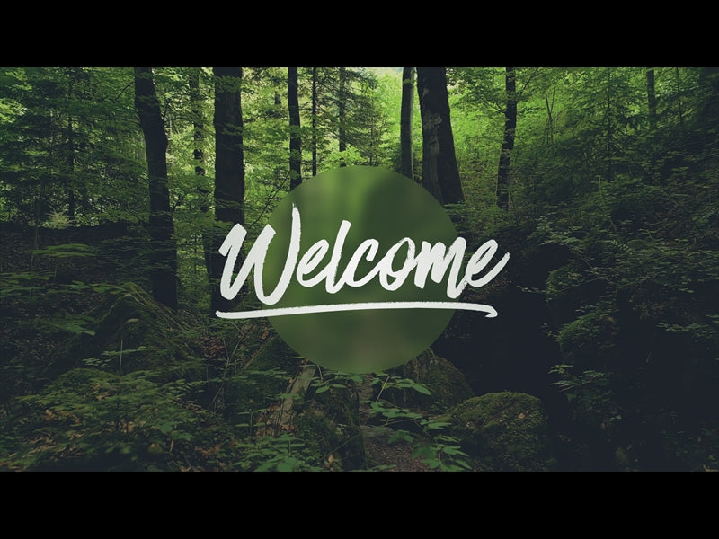Deep Forest Welcome