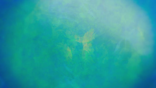 Eye Of The Beholder 8