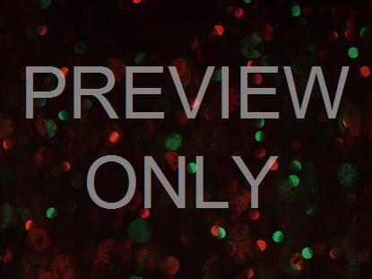 Christmas Glitter Fast Lights