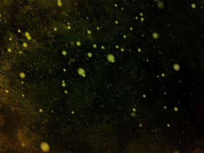 Flying Particles Motions