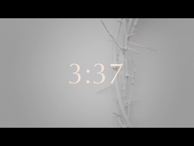Crown Of Thorns White Countdown