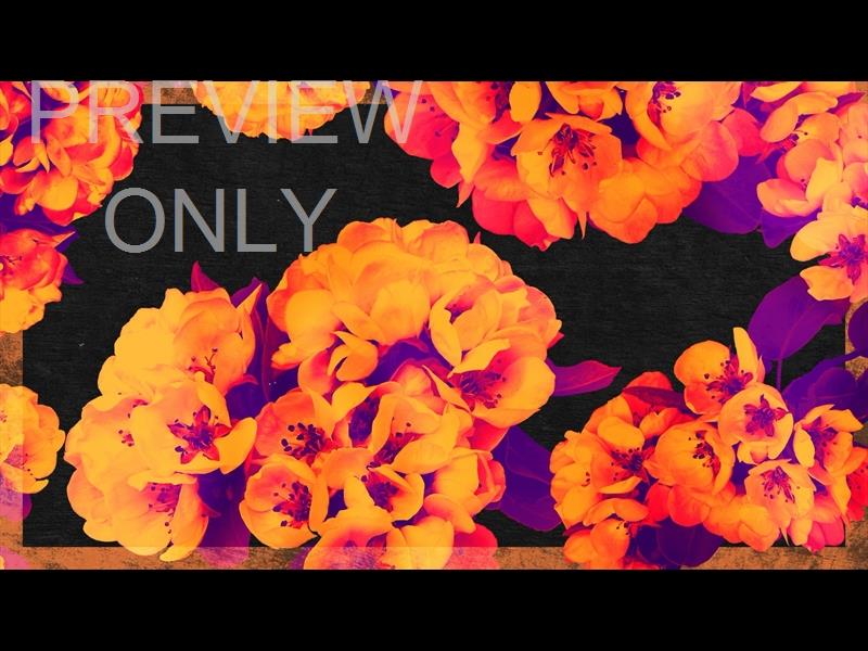 Bold Blooms Still 02