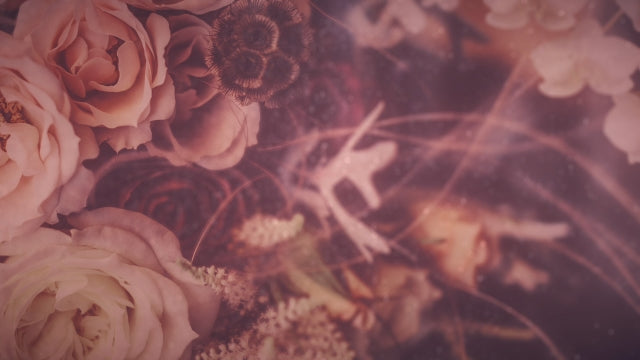 Elegant Flowers 01