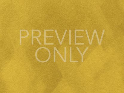 Bold Impressions Still 4