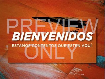 Painted Praise Welcome Still Spanish