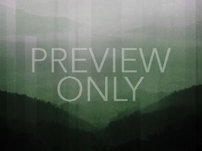 Calming Nature Green 3 Still