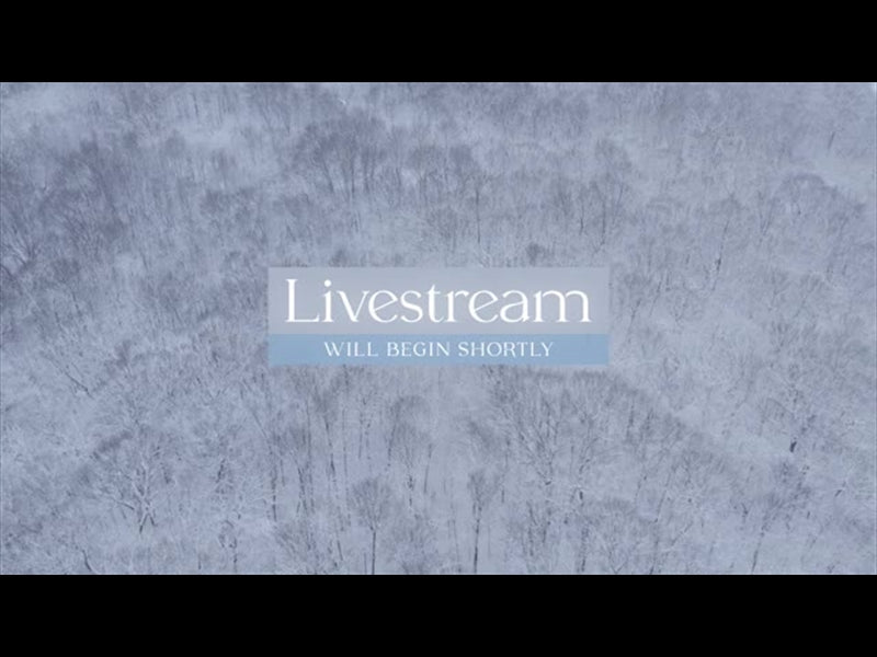 Winter Woods Livestream