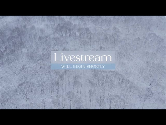 Winter Woods Livestream