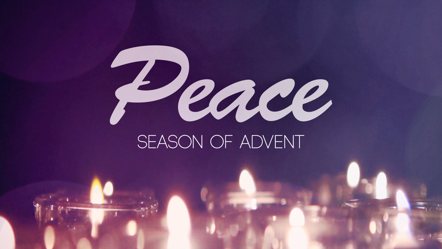 Advent Candles Peace Still