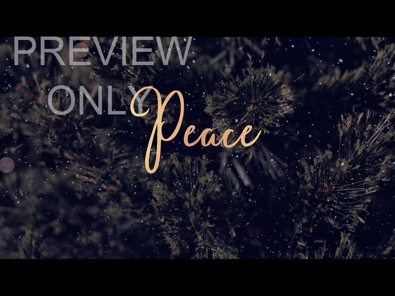 Christmas Tree Peace Still