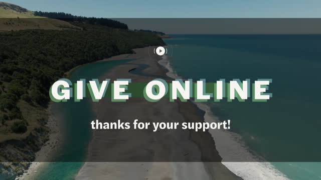 Kiakoura Give Stream