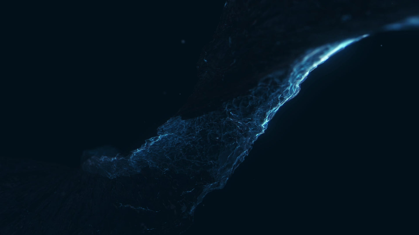 Newness Transfer Still