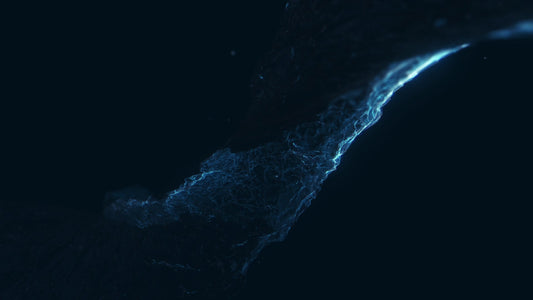 Newness Transfer Still