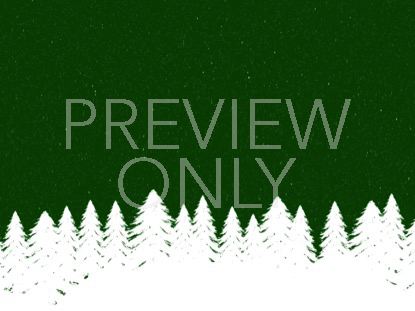 Winter Spruce 3 Still