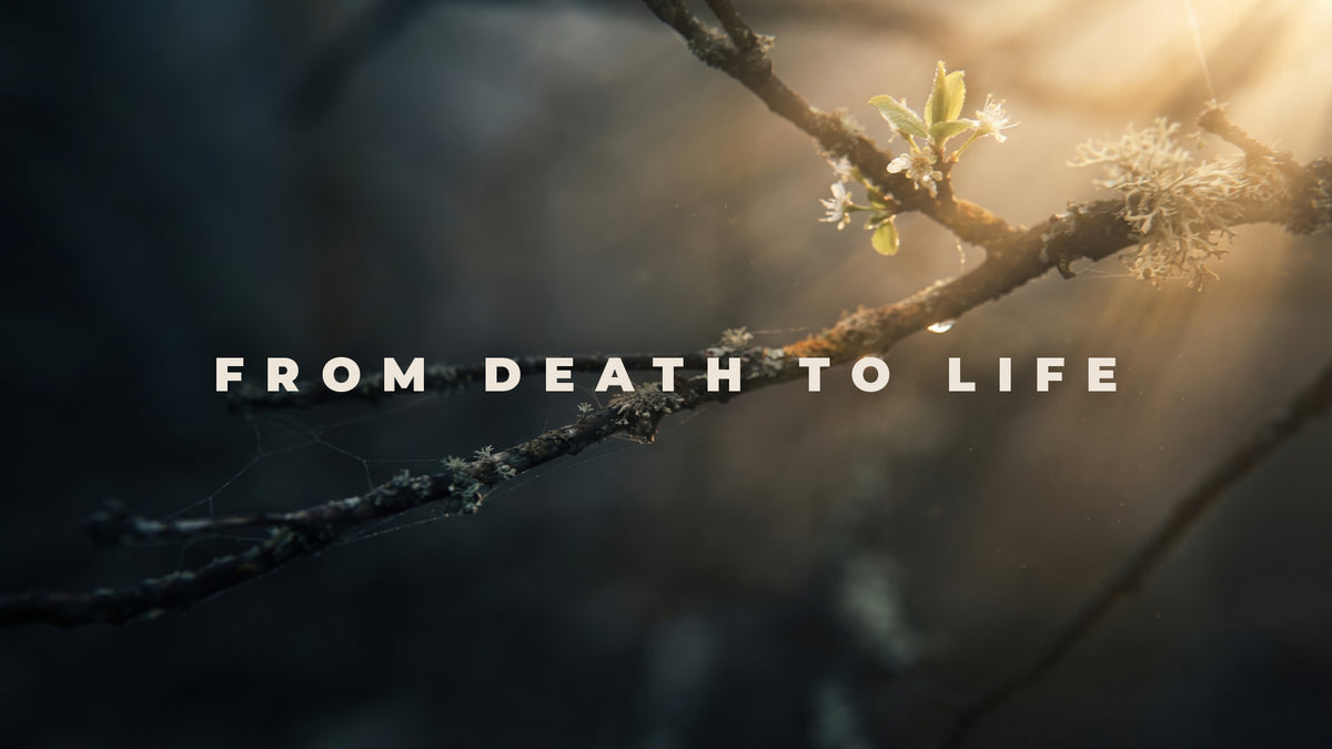 From Death to Life