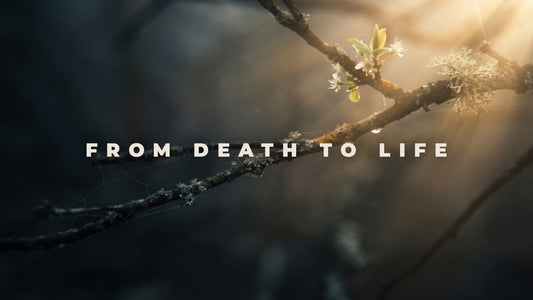 From Death to Life