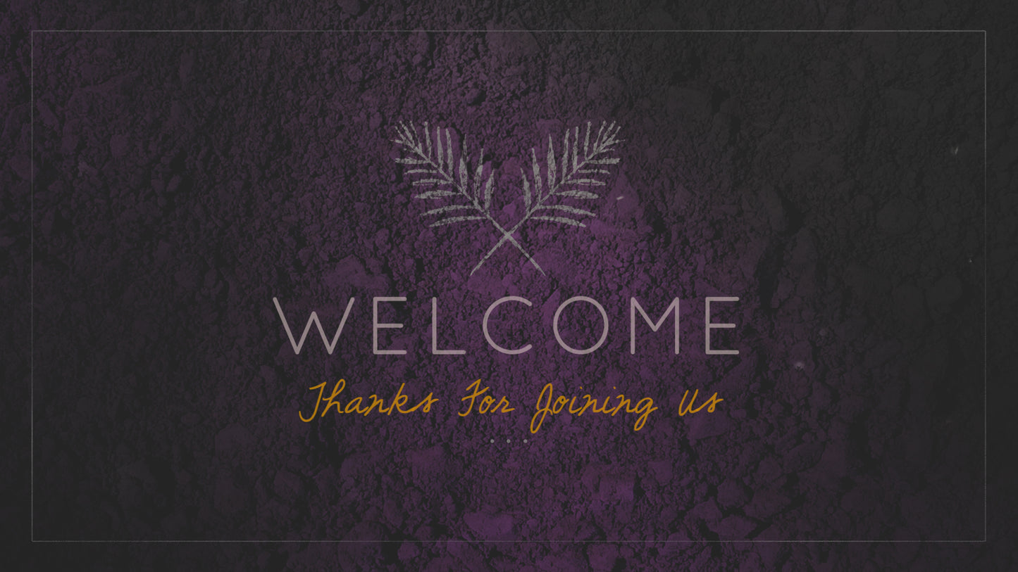 Ash Welcome Still