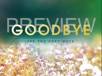 Fields Of Bloom Goodbye