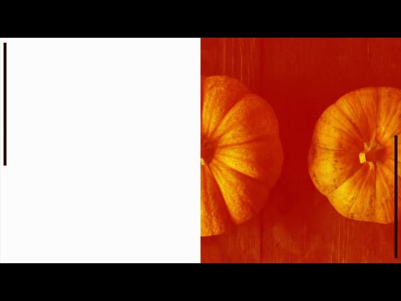 Half Pumpkin Background 3