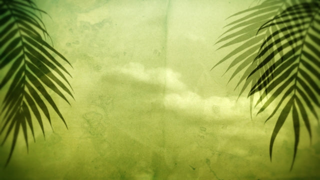 Rustic Palms 02