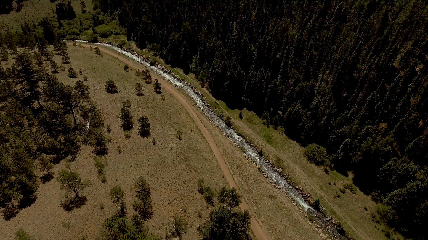 Aerial Forest Still