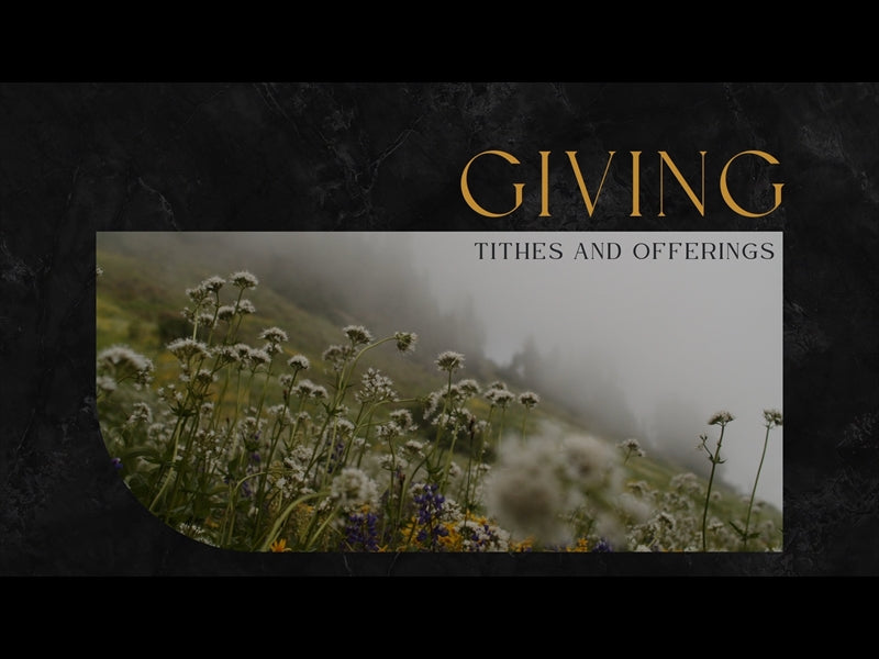 Mountainside Giving
