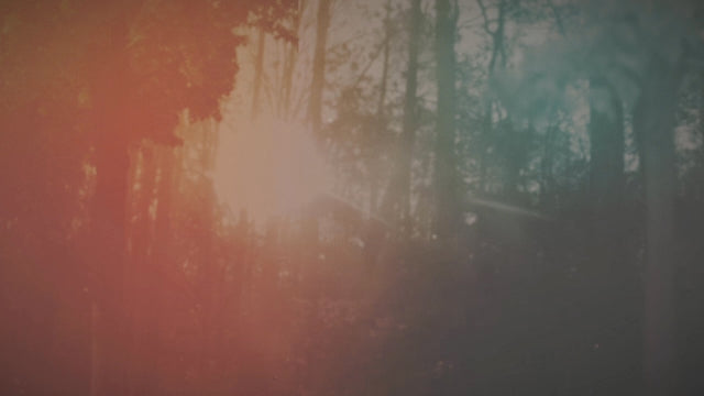 Vintage Hues 02