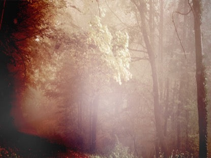 Crisp Morning 1 Motion