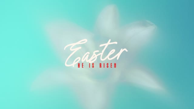 Living Hope Easter 02 Loop
