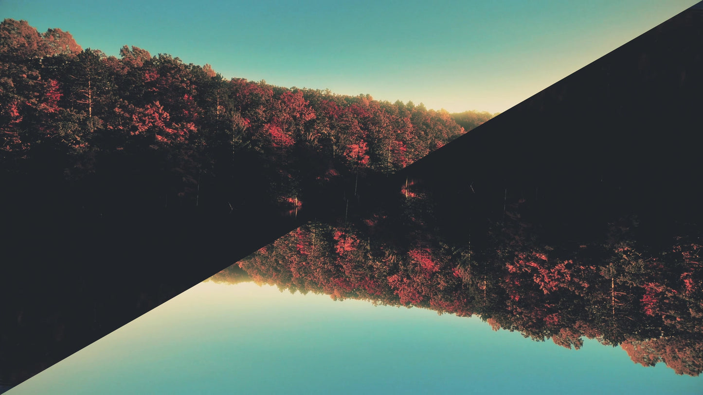 Fall Foliage Remixed 07 Still