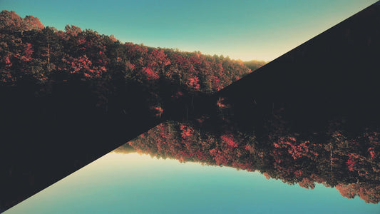 Fall Foliage Remixed 07 Still